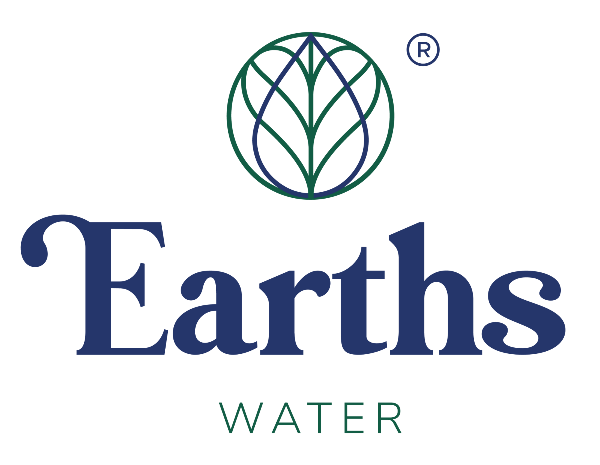 Earth's Water