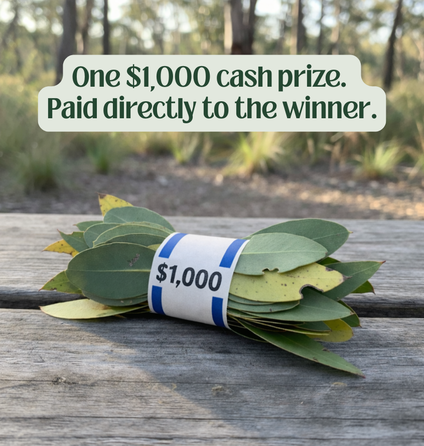 A stack of eucalyptus leaves wrapped in a currency strap