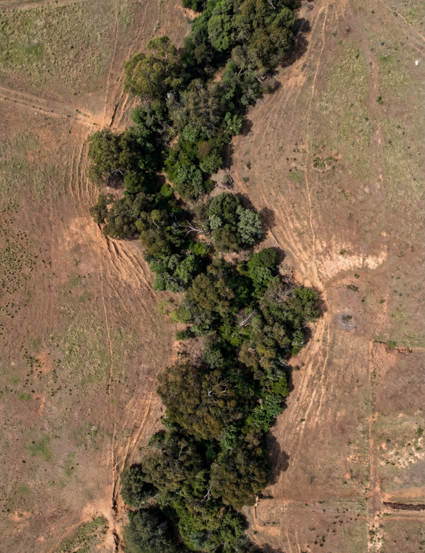 Landscape scale challenges